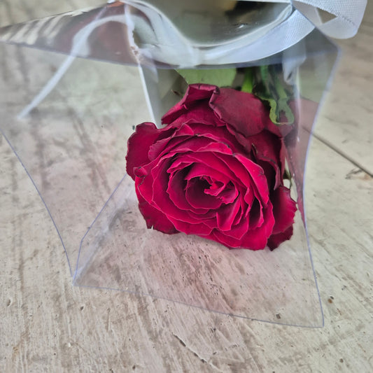 Single rose  premium wrapped